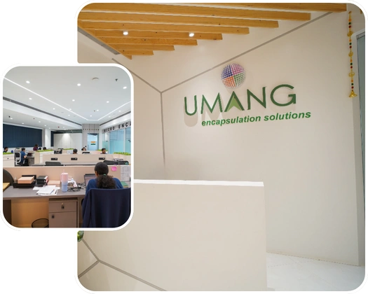 Global Leaders in Encapsulation