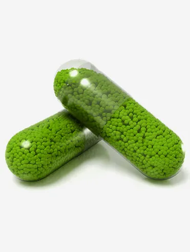 spirulina