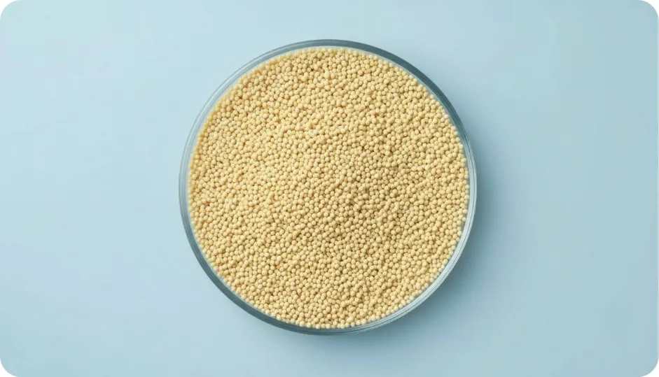 Doxycycline Hyclate DR Pellets