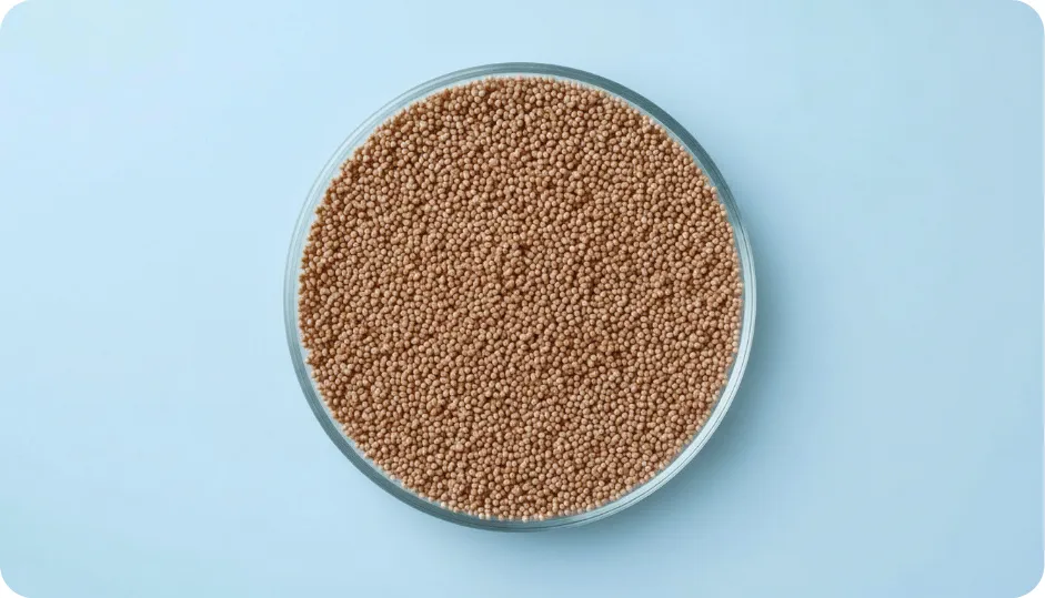 Ferrous Glycine Sulphate EC Pellets