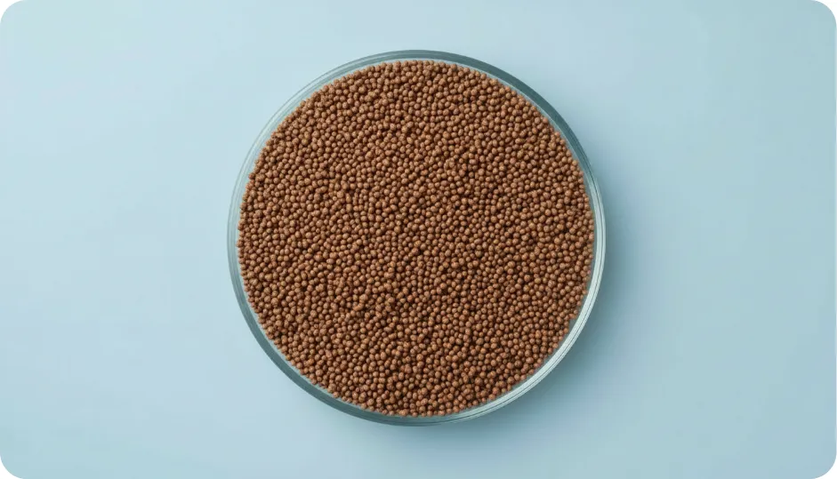Ferrous Sulphate SR Pellets