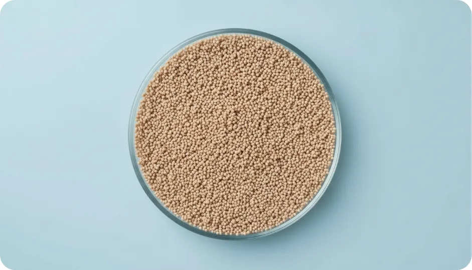 Carbonyl Iron 50 mg + Zinc 61.8 mg + Folic Acid 0.5 mg Blend Pellets