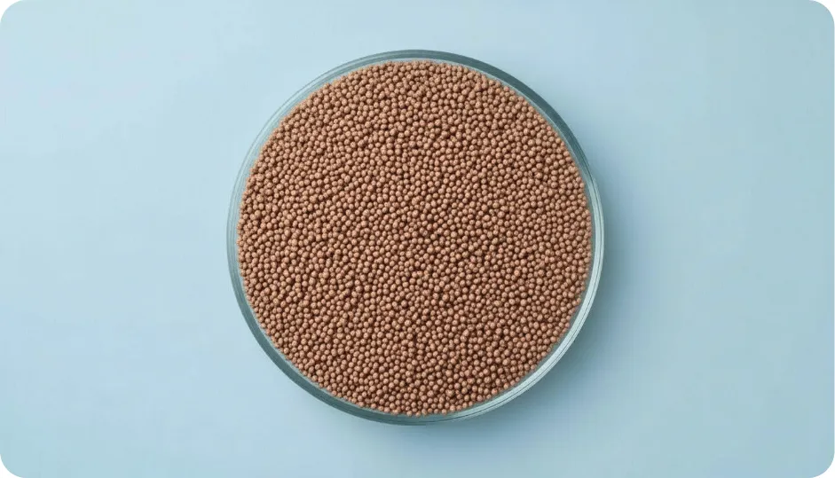 Ferrous Bisglycinate + Vitamin C + Folic acid + Vitamin b12 Blend Pellets