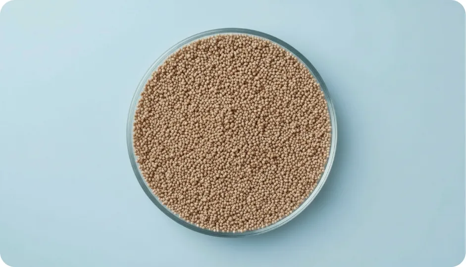 Ferrous Glycine Sulphate EC + Folic Acid Blend Pellets