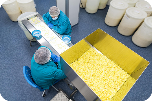 Bulk and Contract Manufacturing