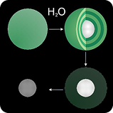 Encapsulated Spheres